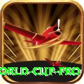 2019 world cup Mega v2.0.8