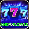 andy flower Pro Edition v2.4.2