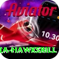 antigua hawksbill Turbo Pro v5.0.5