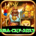 asia cup 2023 Premium Edition v3.1.0