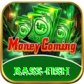 bass fish Plus