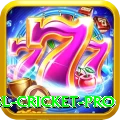 bbl cricket Extreme - Free Download
