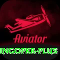 bingopkr Elite v3.4.2