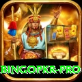 bingopkr Turbo APK v1.0.3