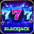 blackjack Pro v2.1.6