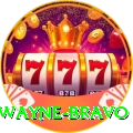 dwayne bravo Pro1 v2.3.1