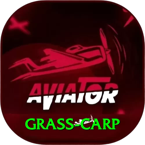 grass carp Apps (Tools & Injectors) Plus v1.2.5 - 2