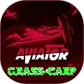 grass carp Apps (Tools & Injectors) Plus v1.2.5