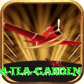 hile ilam tea garden Gold v4.5.9