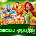 india cricket match Apps (Tools & Injectors) Turbo v3.7.8