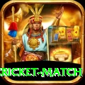 india pakistan cricket match Turbo v2.7.6