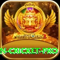 india pakistan cricket Game Prime v2.6.4