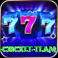 ireland cricket team Gold Edition v2.9.7