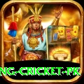 make money betting cricket pk Plus v1.0.3