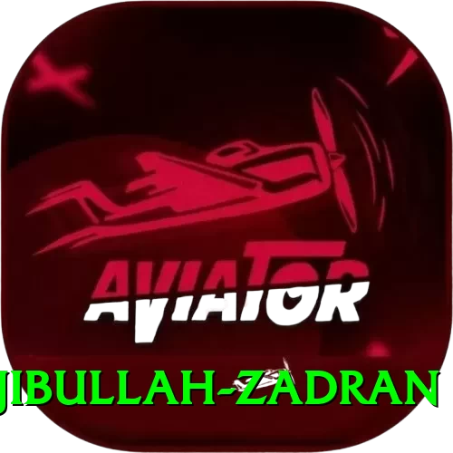 najibullah zadran VIP v1.2.8 - 2