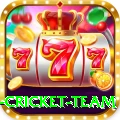 new zealand cricket team Max Pro v5.5.4