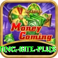 Pakistan Betting Site - Real Money King