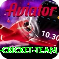 pakistan women cricket team Deluxe Pro v1.3.4