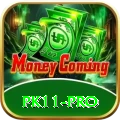 pk11 - Gaming Master
