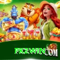 pk2win VIP Edition v5.4.8