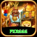 pkr666 VIP Edition v1.1.1
