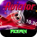 pkspin Premium vv1.8.5