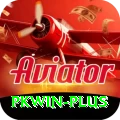 pkwin Deluxe Edition v1.5.6