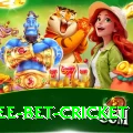 risk free bet cricket Games (Casino & Earning) Premium v1.8.3