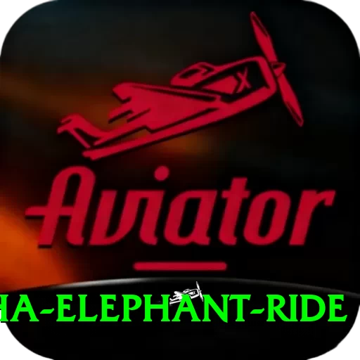 sauraha elephant ride Pro Max v2.0.9 - 2