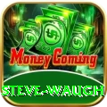 steve waugh Premium Edition v3.7.5