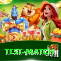 test match Max Pro v4.6.9