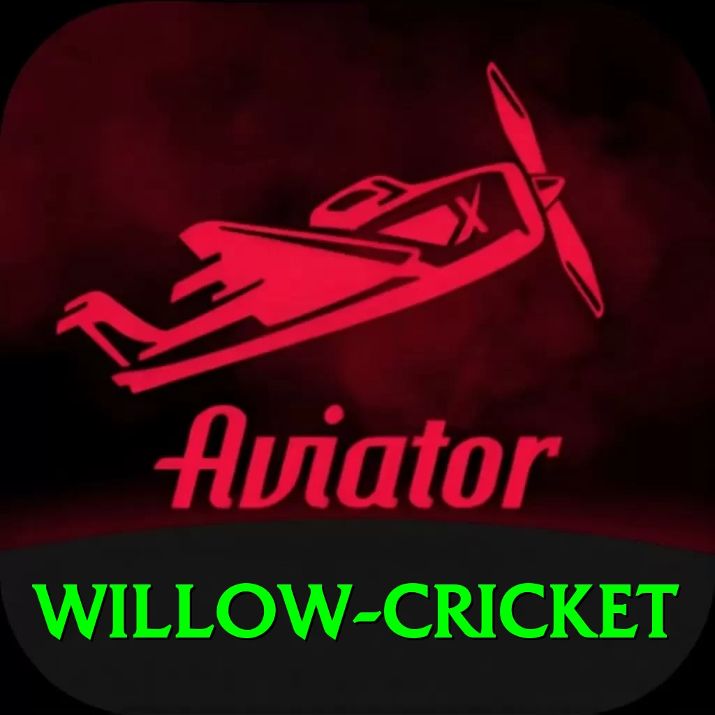 willow cricket Master v4.6.8 - 2
