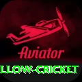 willow cricket Master v4.6.8